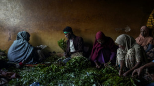 A gloomy season for Ethiopia's 'green gold' at the khat market