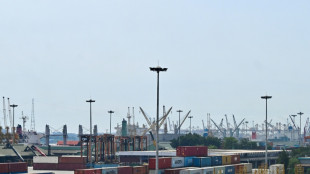 Bangladesh dockers strike over foreign takeover of key port
