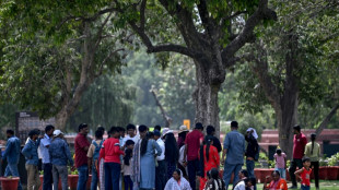 Geistlicher ruft Indiens Muslime zum Umweltschutz auf
