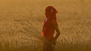 USA hoffen auf R&uuml;cknahme von Indiens Exportverbot f&uuml;r Weizen