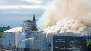 Kopenhagener Börse durch Feuer stark beschädigt - Großteil der Kunstschätze gerettet
