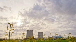 Frankreichs Atomindustrie plant 100.000 Neueinstellungen in kommenden zehn Jahren