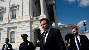 Musk demite equipe que combatia desinforma&ccedil;&atilde;o eleitoral na rede X