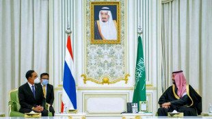 Saudi-Arabien und Thailand nehmen nach Juwelenraub Beziehungen wieder auf
