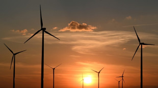 Bericht: Hunderte Klagen gegen Windkraft-Ausbau in Deutschland anh&auml;ngig