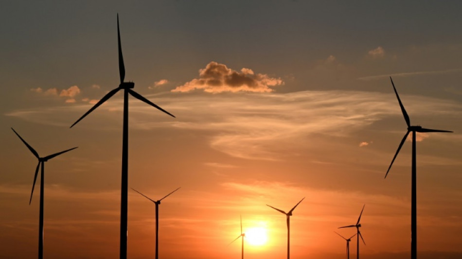 Scholz will bis 2030 vier bis fünf Windräder pro Tag an Land bauen lassen