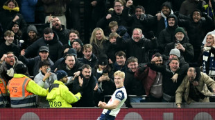 Coupe de la Ligue: Liverpool s'incline 1-0 &agrave; Tottenham en demie aller