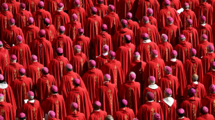 All eyes turn to conclave as Pope Francis tomb opens to public
