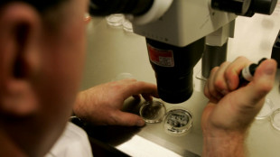 Une universit&eacute; de l'Alabama suspend ses f&eacute;condations in vitro apr&egrave;s une d&eacute;cision judiciaire pol&eacute;mique