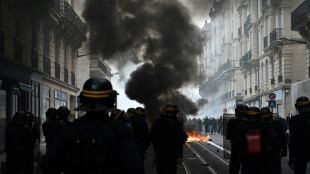 Innenministerium: Hunderte verletzte Polizisten bei Protesten in Frankreich