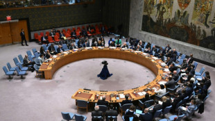 La demande d'adh&eacute;sion des Palestiniens &agrave; l'ONU face au couperet du Conseil de s&eacute;curit&eacute;