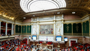Budget: un 49.3 "probablement mercredi" &agrave; l'Assembl&eacute;e