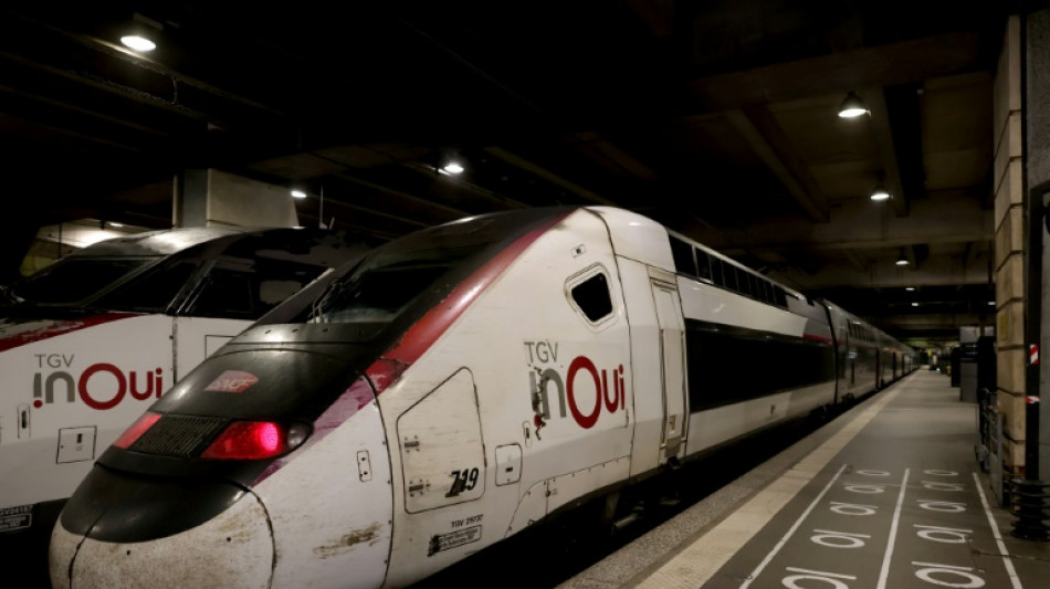 Funcionamento de trens de alta velocidade &eacute; normalizado na Fran&ccedil;a