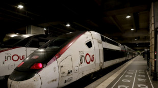 Funcionamento de trens de alta velocidade &eacute; normalizado na Fran&ccedil;a