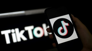 TikTok travaillera avec un "partenaire" en Europe pour rassurer sur la s&eacute;curit&eacute; des donn&eacute;es