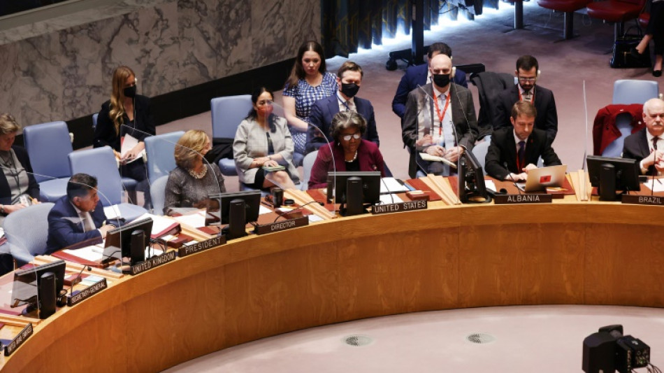 Iniciativa en la ONU para limitar el derecho a veto en el Consejo de Seguridad