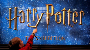 'Hogwarts Legacy' rende mais de US$ 1 bilhão