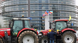 Le Parlement européen ouvre la voie aux "nouveaux OGM"