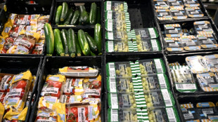 Infla&ccedil;&atilde;o na Eurozona permanece em 5,3% e desemprego mant&eacute;m menor &iacute;ndice hist&oacute;rico