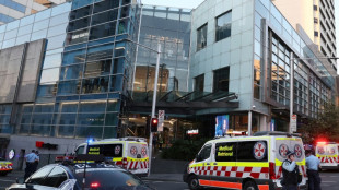 Seis muertos en un ataque con arma blanca en S&iacute;dney