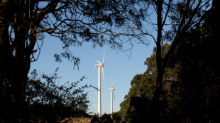 US opposes 'dangerous' anti-fossil fuel policies at global summit