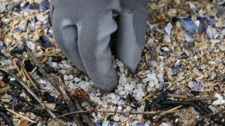 EU-Parlament stimmt &uuml;ber Regeln f&uuml;r Mikroplastik in der Industrie ab