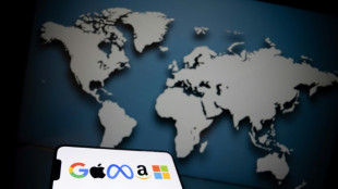 Promesas de neutralidad de carbono de grupos tecnol&oacute;gicos son irrealistas, dice estudio