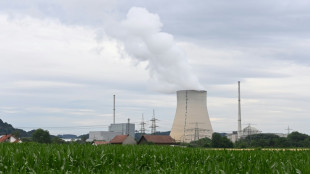 Bundesamt sieht keine Alternative zu Atommüll-Endlager