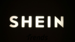 Shein vendait des poup&eacute;es &agrave; caract&egrave;re p&eacute;dopornographique, la justice fran&ccedil;aise saisie
