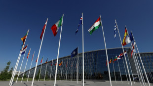 Espa&ntilde;a cree posible un ciberataque ruso durante la cumbre de la OTAN
