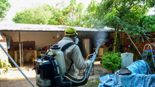 Opas alerta sobre recorde de dengue na América Latina, impulsionado por mudança climática