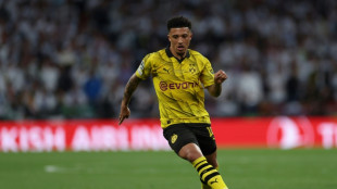 'Brilliant': Dortmund boss Terzic lauds Sancho on Wembley return