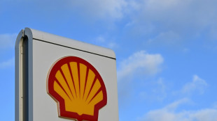 Greenpeace-Aktivisten entern Frachter mit Shell-Plattform an Bord