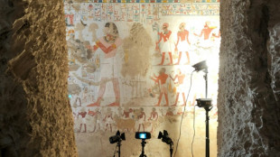 Análises revelam talentos ocultos de pintores do Egito Antigo