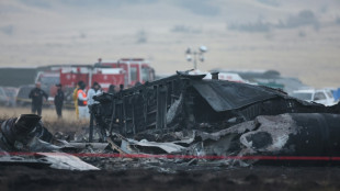 La Turquie enquête sur le crash meurtrier de son avion militaire en Géorgie