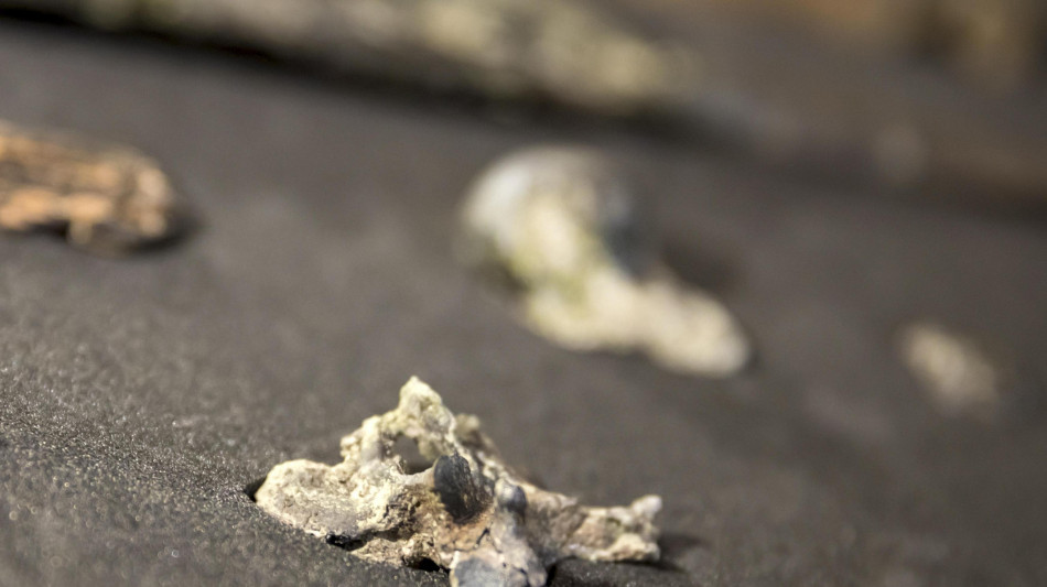 Ricostruita la vita di un bambino dell'Et&agrave; del Rame