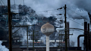 Trump rouvre la porte &agrave; un rachat de U.S. Steel par Nippon Steel