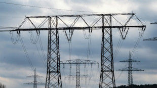 Netzentgelte für Stromkunden steigen 2024 um fast elf Prozent