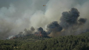 Incendie dans l'Aude: 10.000 hectares parcourus, un blessé grave, axe France-Espagne fermée