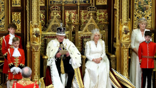 Charles III. stellt inmitten von Debatte &uuml;ber Premier Starmer Regierungsprogramm vor