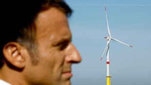 Plus d'&eacute;olien et de nucl&eacute;aire : Macron fixe le cap