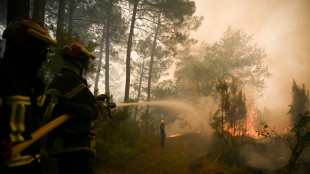 En Gironde, un peu plus de 20.000 hectares de for&ecirc;ts br&ucirc;l&eacute;s depuis une semaine