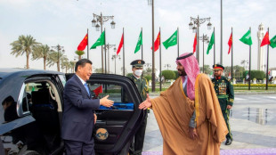 Xi stellt arabischen Golfstaaten Unterstützung und Energie-Importe in Aussicht