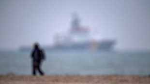 Babyseehund verirrt sich an Deichpromenade: Einsatz f&uuml;r Feuerwehr in Bremerhaven