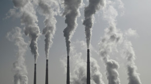 Quelles cons&eacute;quences pour les &eacute;nergies fossiles apr&egrave;s l'avis de la Cour internationale de justice?