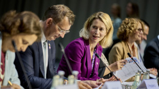 Kallas, usare Fondo della Pace Ue per acquistare armi Usa
