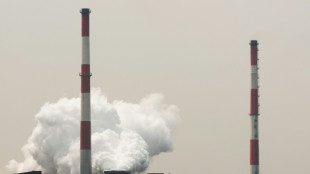 Capter le carbone, mode d'emploi: "On se branche sur le pot d'&eacute;chappement de l'usine"