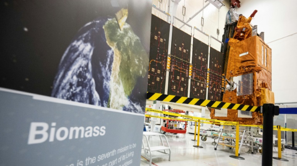 Un satellite europ&eacute;en va cartographier les for&ecirc;ts et leur absorption de carbone