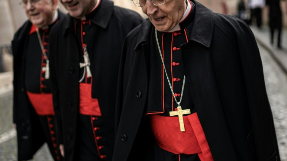 Los cardenales buscan un "unificador" como futuro papa a d&iacute;as del c&oacute;nclave