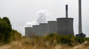 Bundestag stimmt f&uuml;r m&ouml;gliche Kohleverstromung bei Gasmangellage